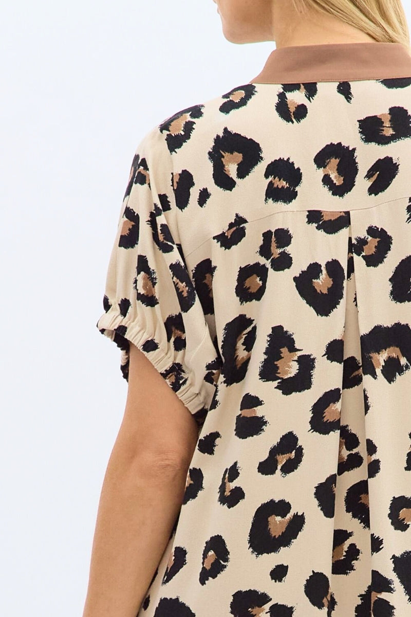 Leopard print dress with a plain background