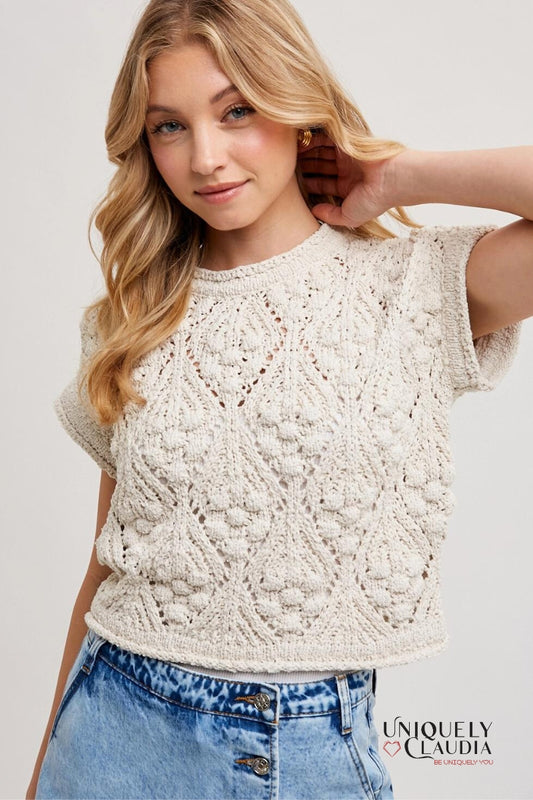 Eloise Crochet Pullover Top | Uniquely Claudia Boutique 